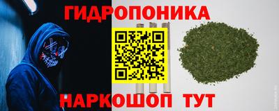 шишки Кунгур