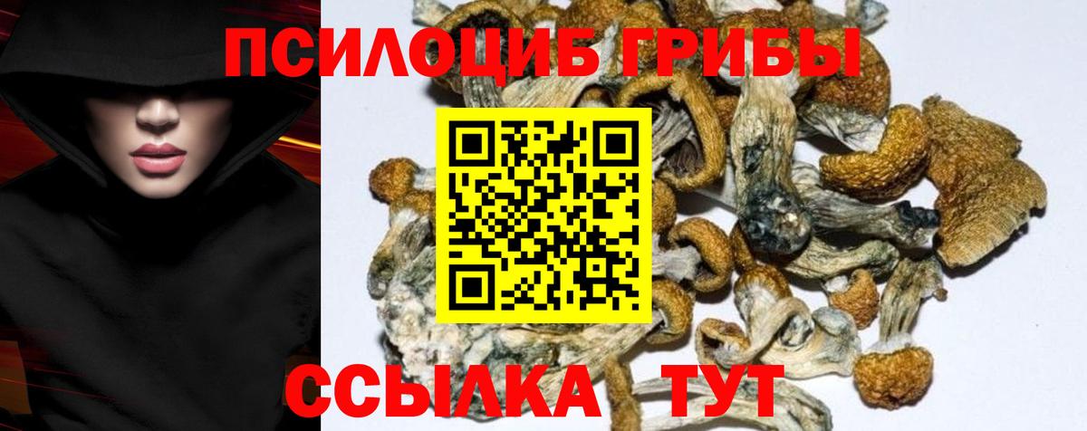 Псилоцибиновые грибы Psilocybe  Галлюциногенные грибы Cubensis  Грязи  сколько стоит  Вход с VPN 
